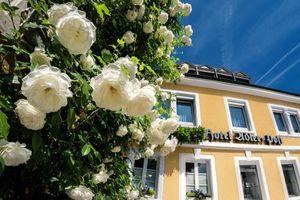 Alojamiento - Hotel Adler Post