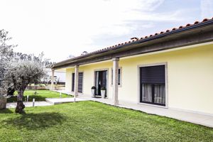 Alquiler Vacacional - A country house for you and your four-legged companion.