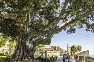 Actividad - Tour - Enigmas de Cádiz