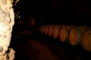 Actividad - Las bodegas del valle de la Bekaa