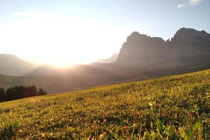 Alquiler Vacacional - Simple accommodation in a quiet location in the middle of nature