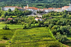 Actividad - Visita al Valle de Vipava - Excursión privada de medio día