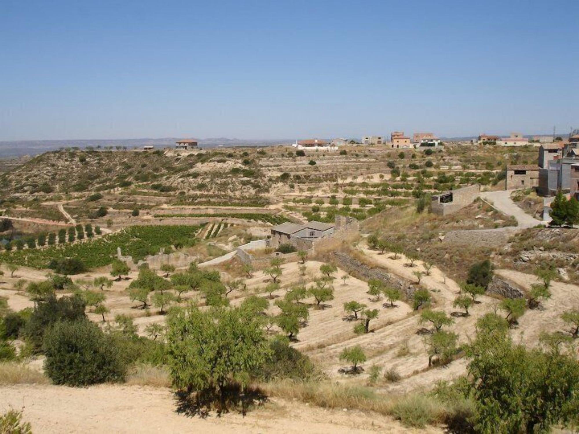 Comodidades del Alojamiento Los Trulls d'Auligué