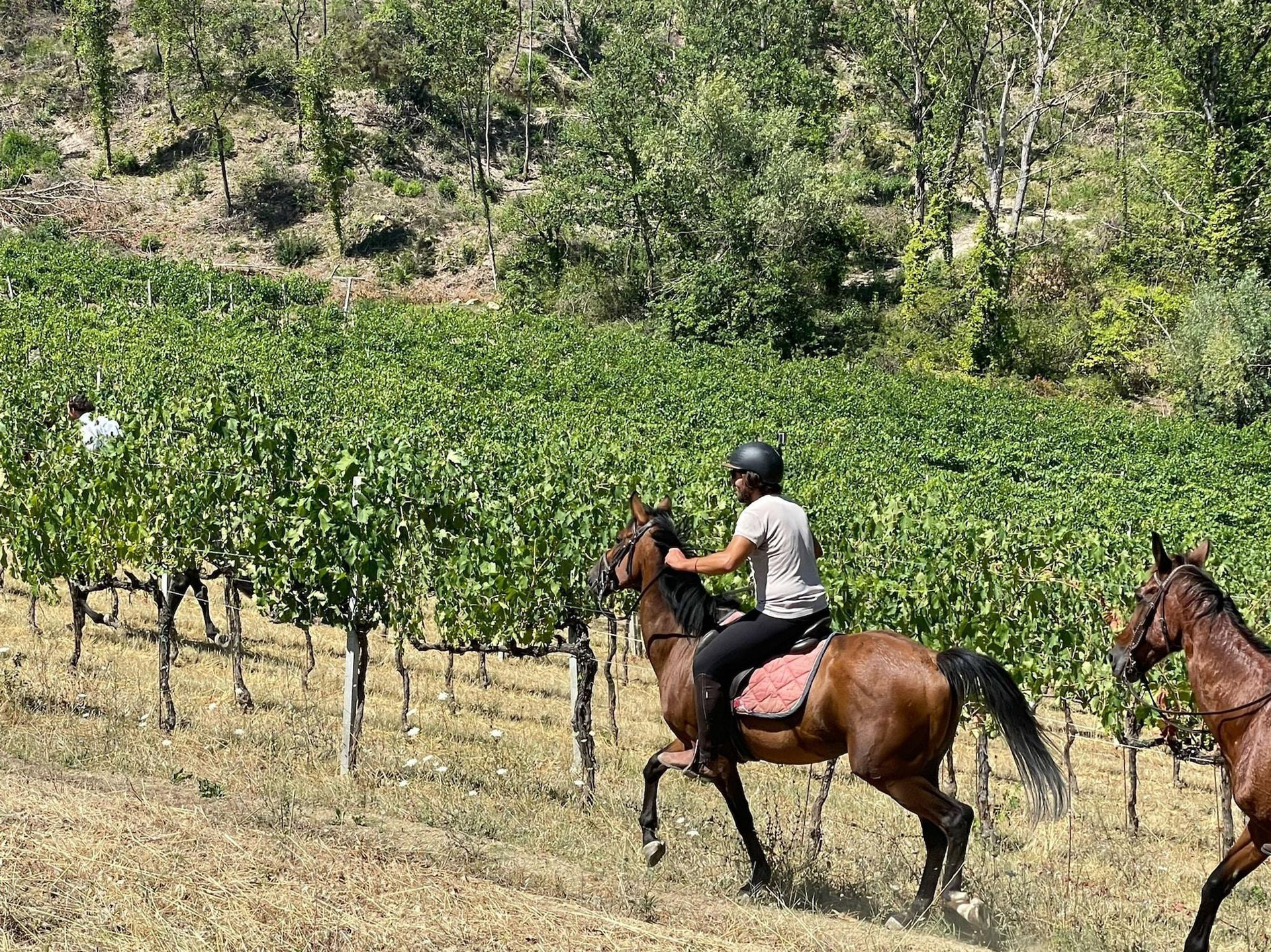 Instalaciones Recreativas Wine Resort La Ghirlanda