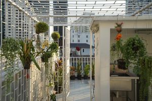 Alojamiento - Rabbitat Hostel