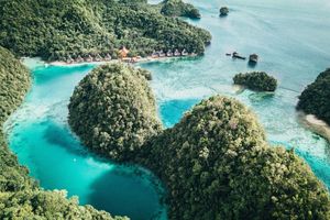 Alojamiento - Club Tara Resort