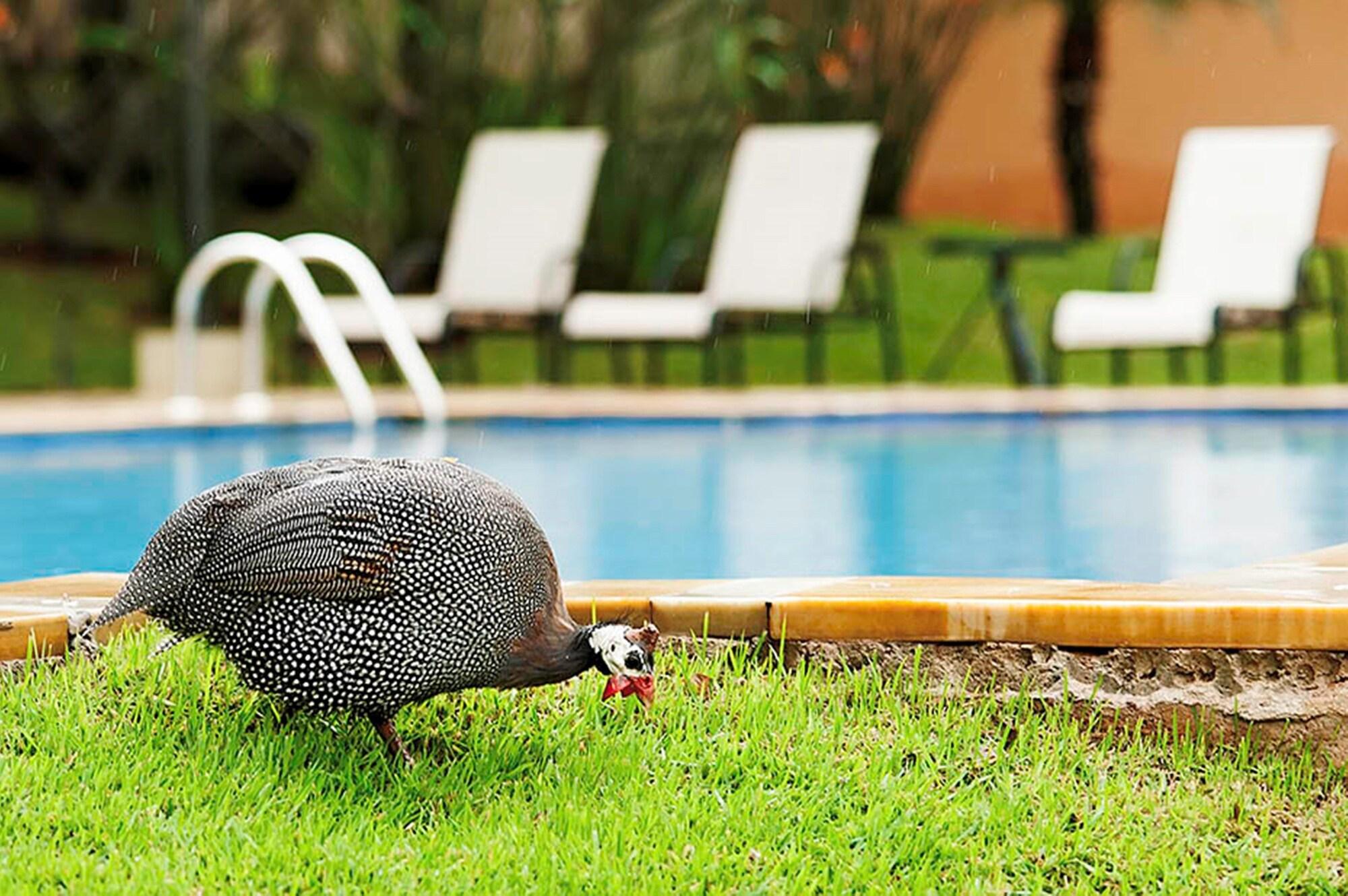 Vista Piscina Vila Real Hotel