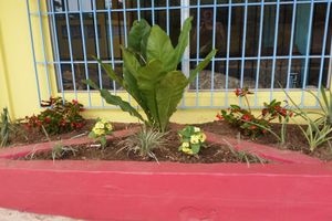 Alojamiento - The Vieques Guesthouse