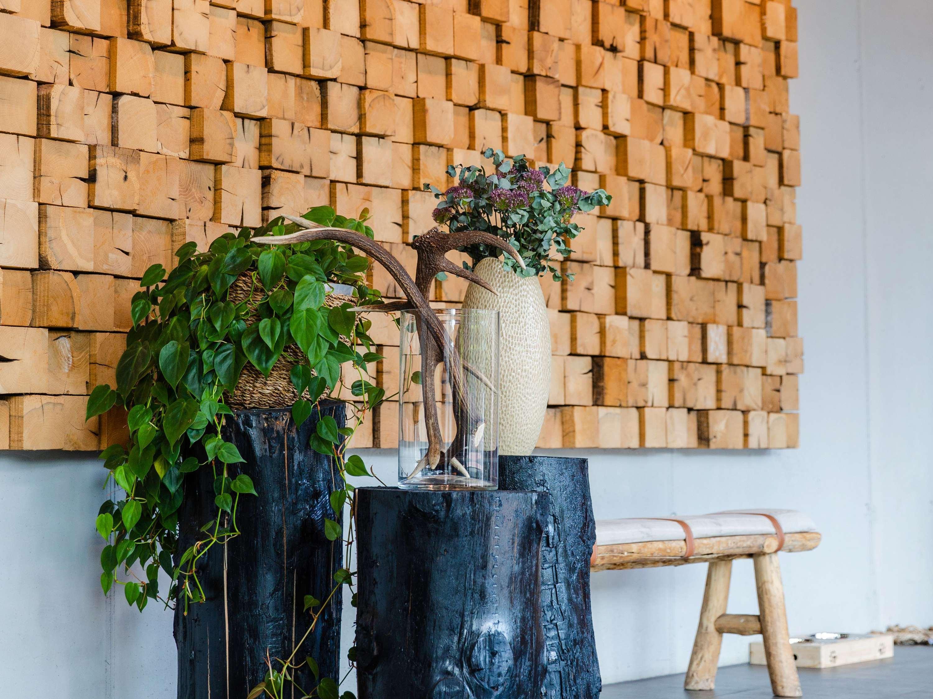 Vista Exterior ibis Styles Nagold