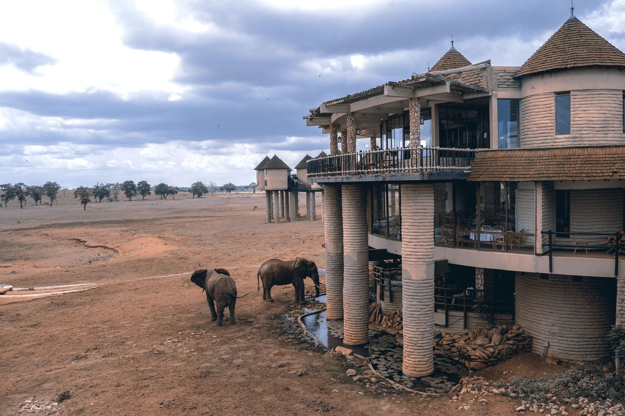 Vista Exterior Salt Lick Safari Lodge