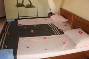 Alojamiento - Africa Roots