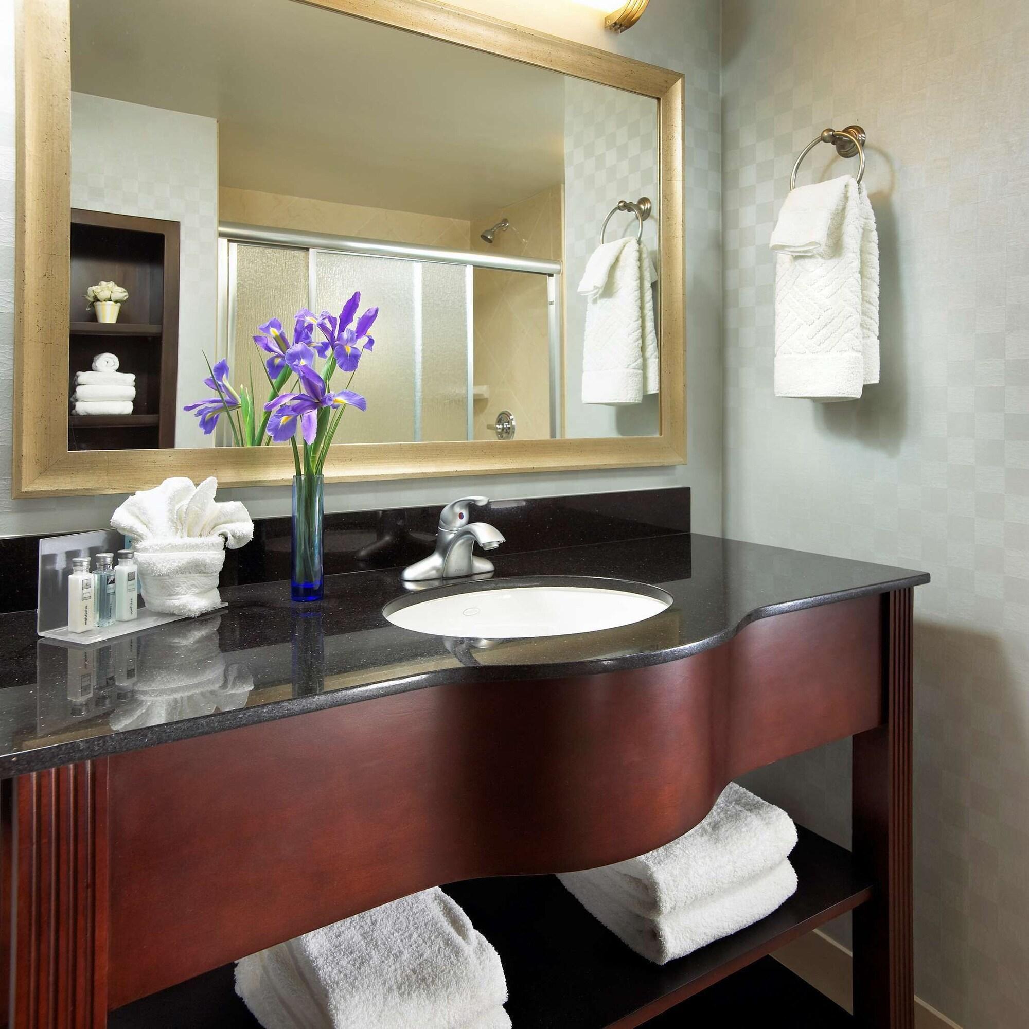 Equipamiento de Habitación Hampton Inn San Diego/Mission Valley