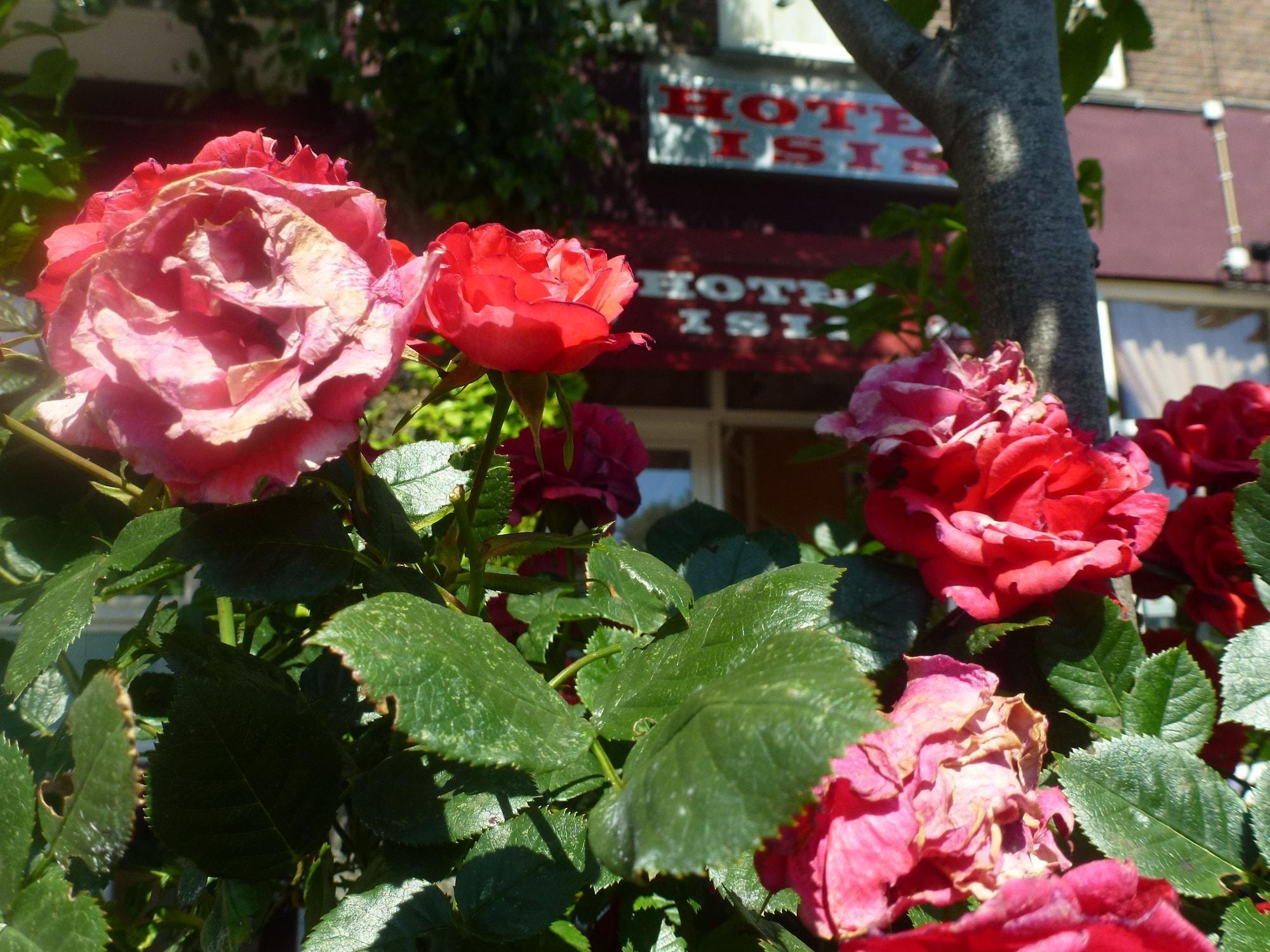 Vista Exterior Hotel Isis