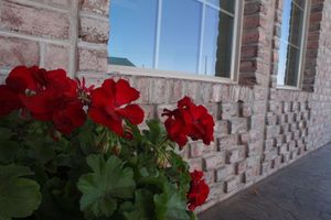 Alojamiento - CB&M Executive Suites