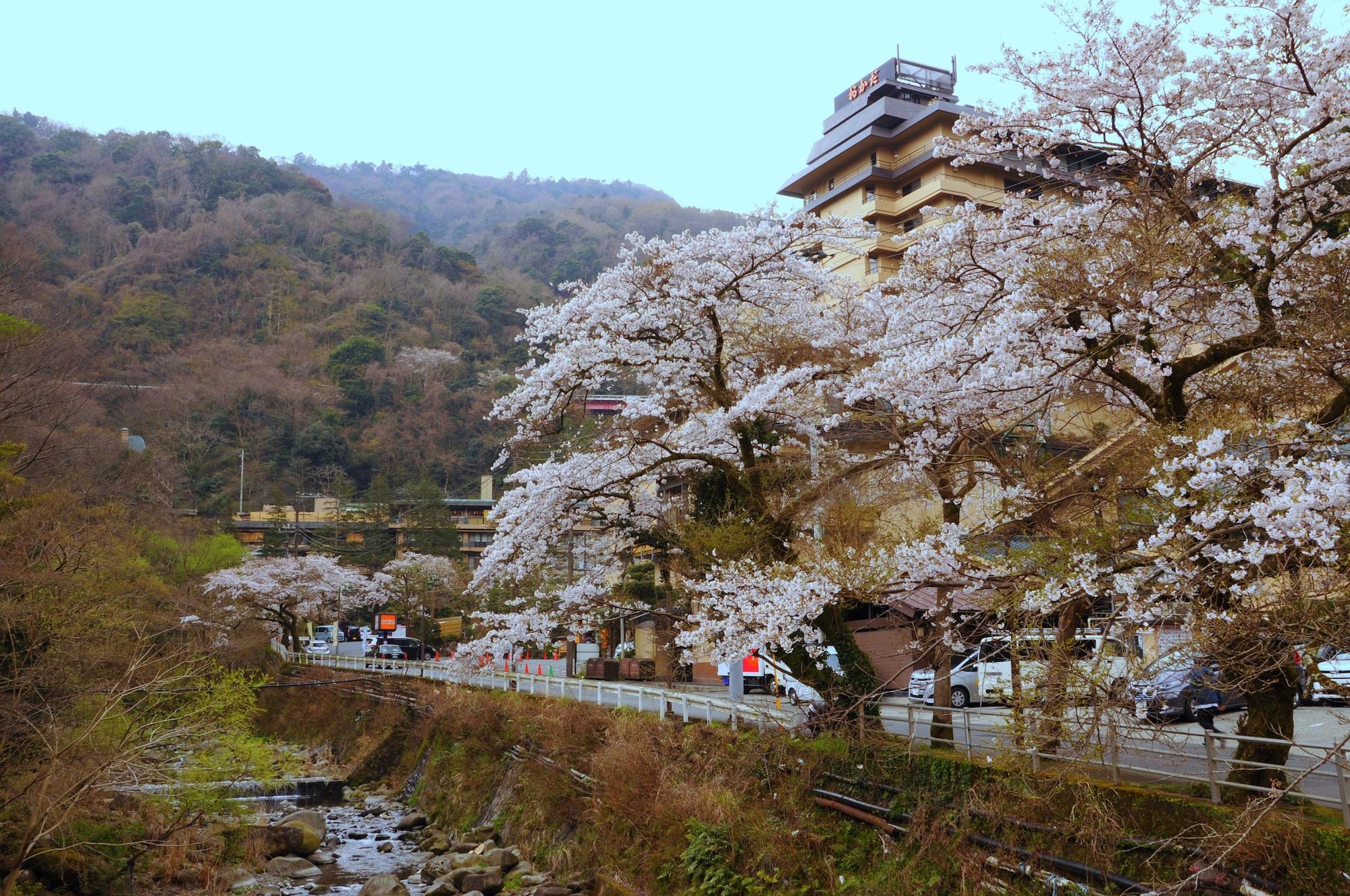 Vista Exterior Hotel Okada