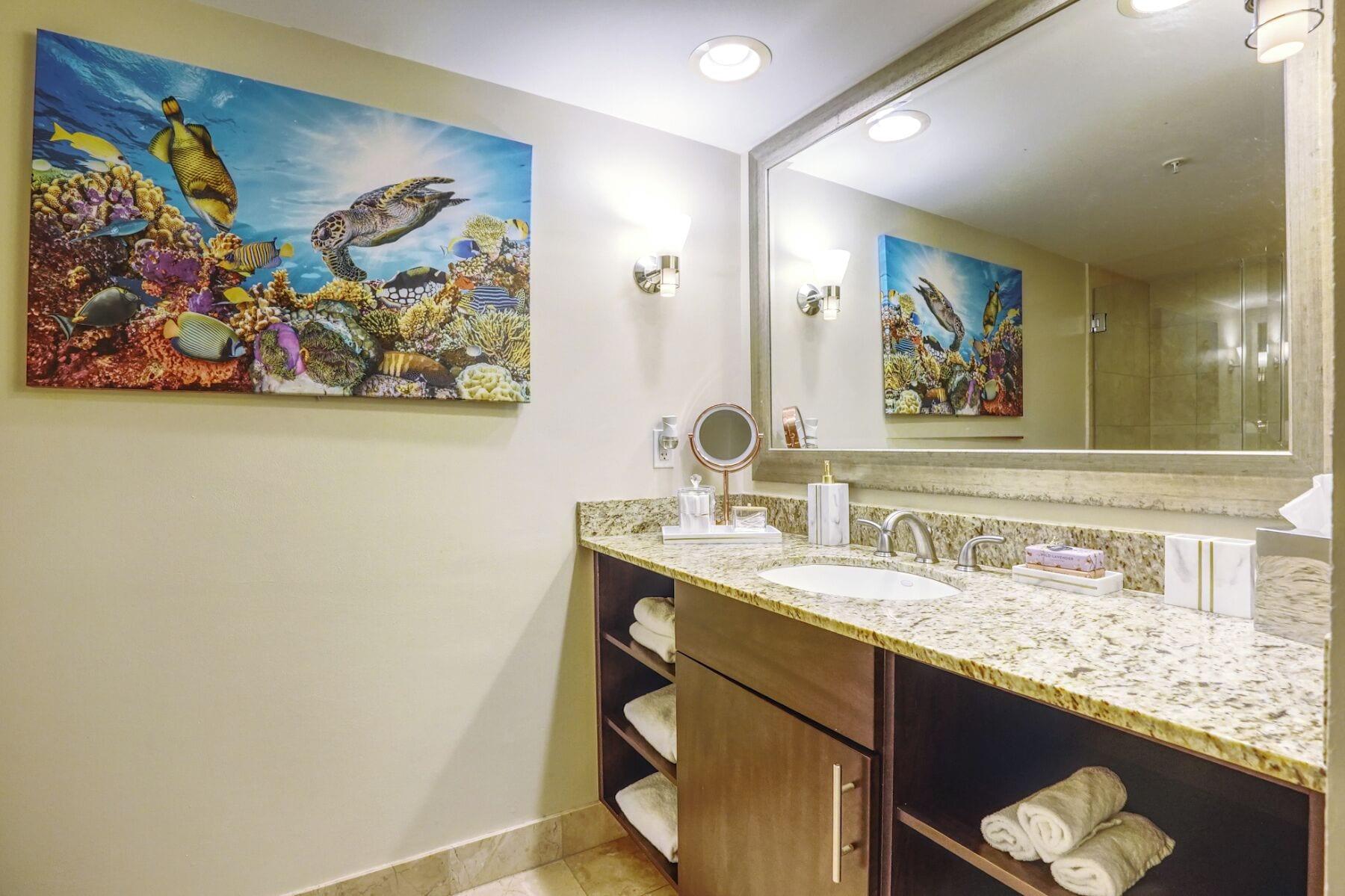 Equipamiento de Habitación Turtle Cove