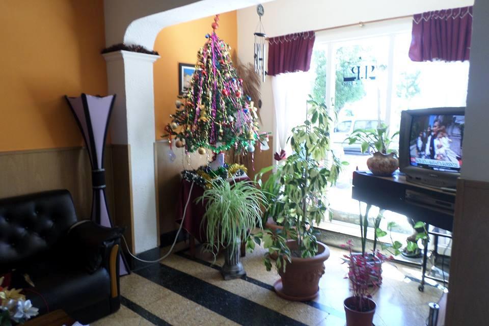 Vista Lobby Hotel Pino