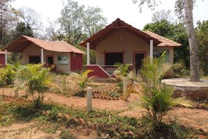 Alojamiento - Jungle Nest Homestay