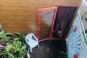 Alojamiento - Guest House Pura Vida