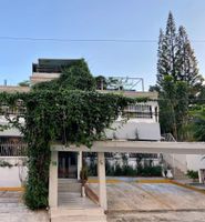Alojamiento - BOTANIC GARDEN HOSTAL