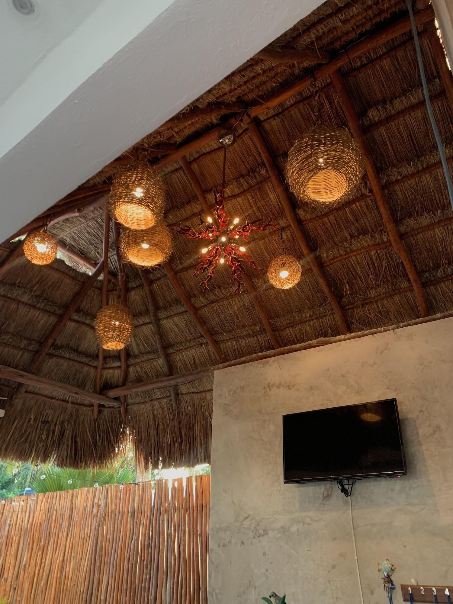 Vista Lobby Casa Delfines