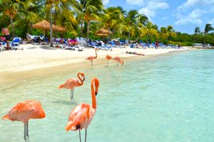Paquete - Paquetes a Aruba