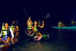 Actividad - kayak y nado con bioluminiscencia en Holbox