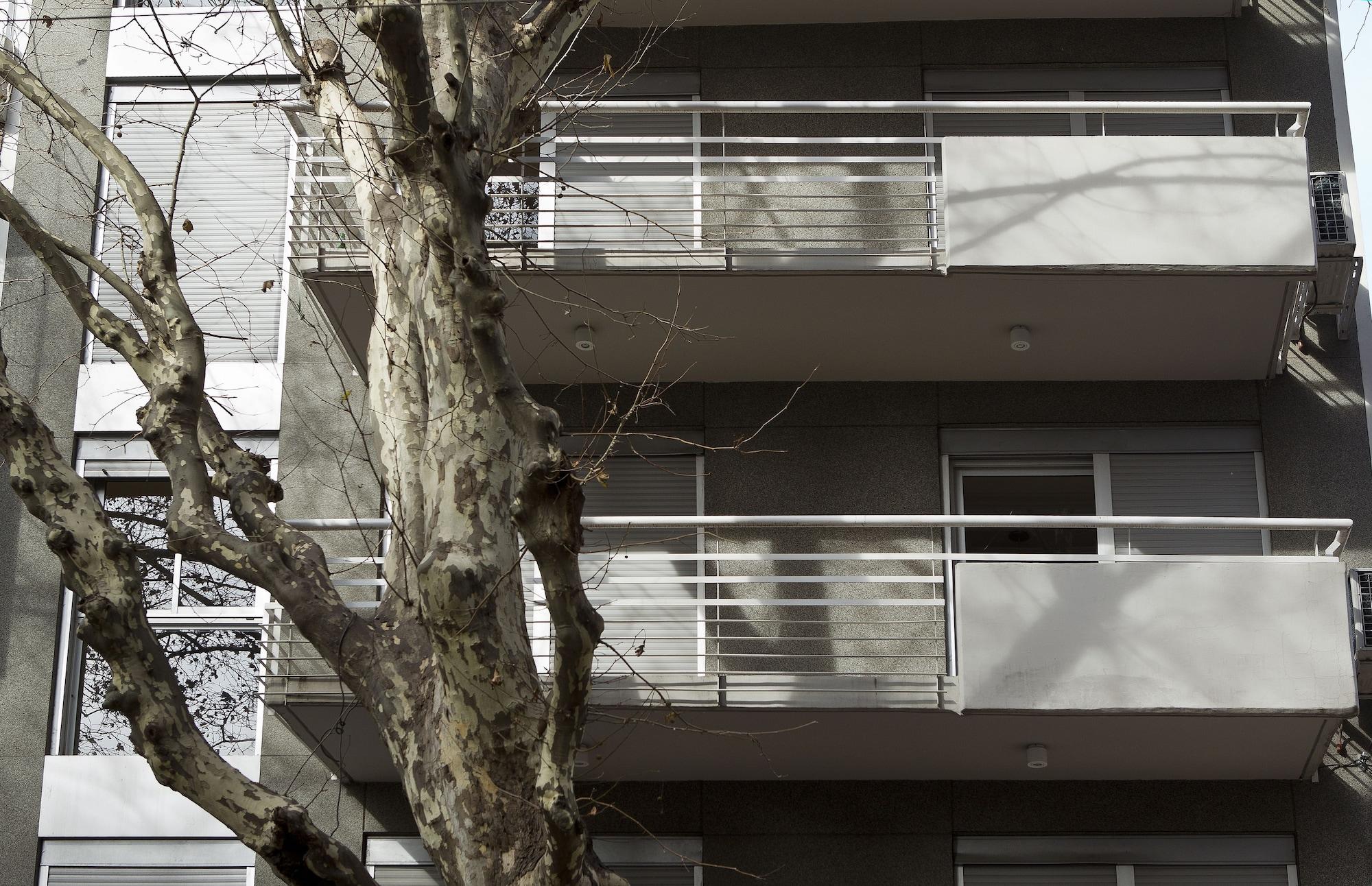 Vista Exterior Color Botanico