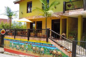 Alojamiento - Oak Tree Hostel