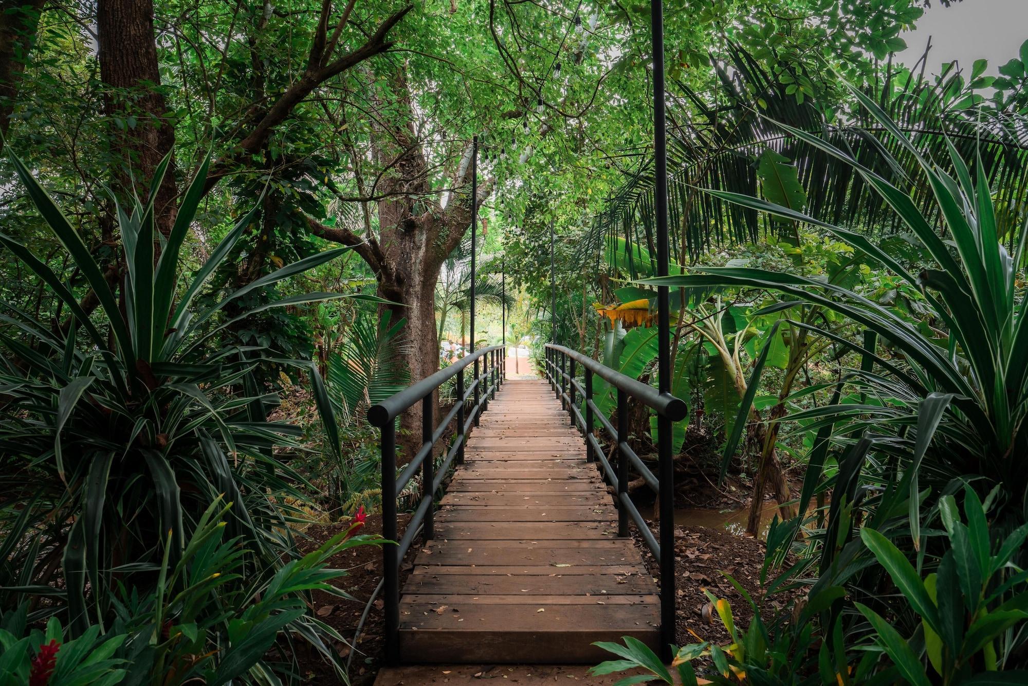 Vista Exterior Selina River Venao