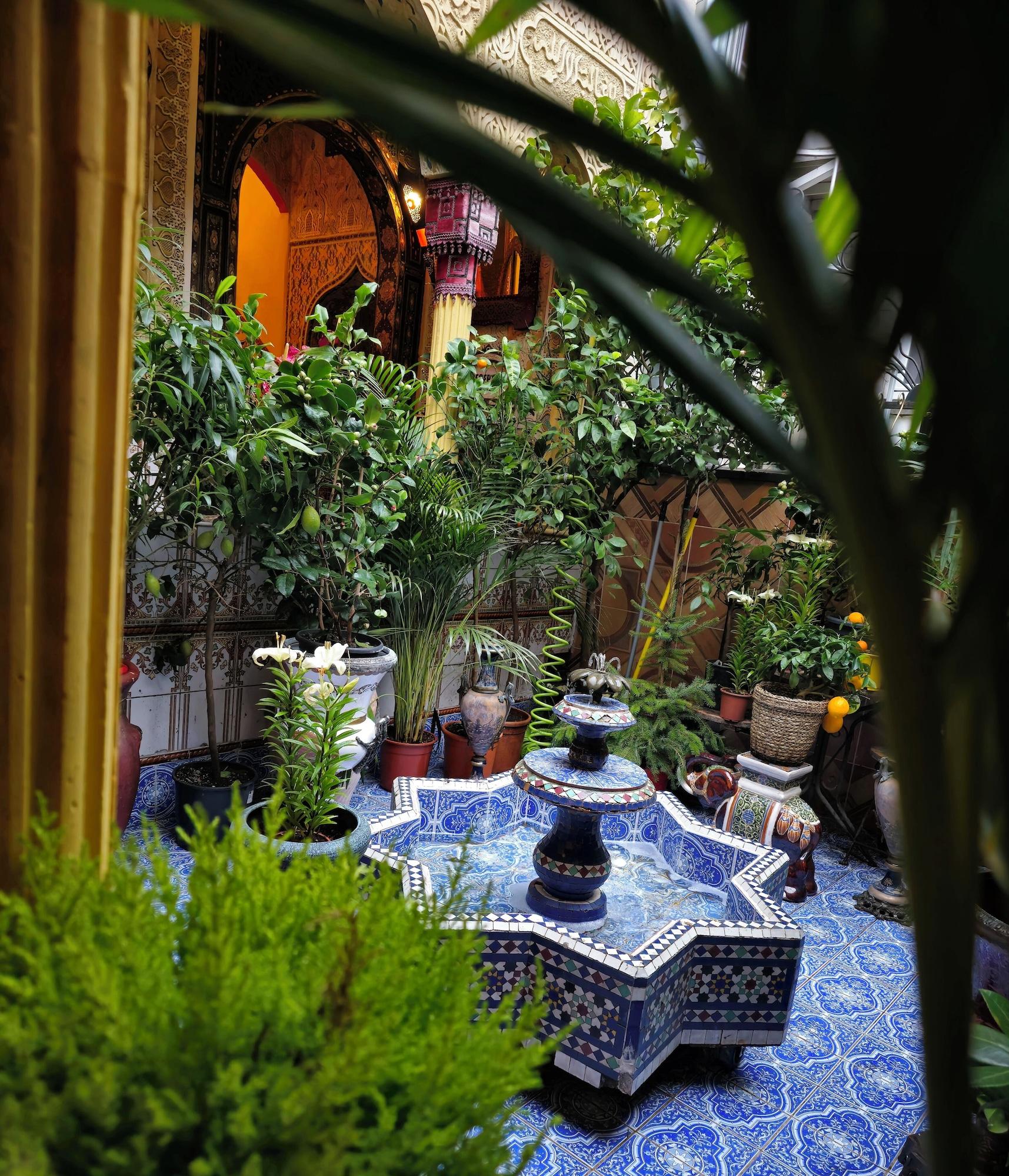 Comodidades del Alojamiento Hotel Mozart