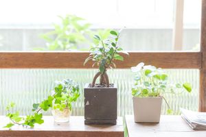 Alojamiento - Tokyo Hikari Guest House