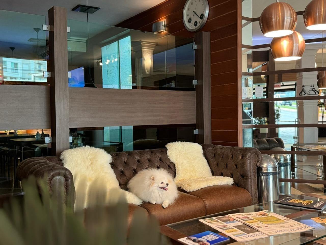 Vista Lobby Afford Hoteis
