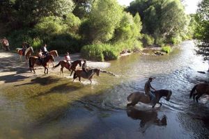 Alojamiento - Turismo Rural Sant Marc
