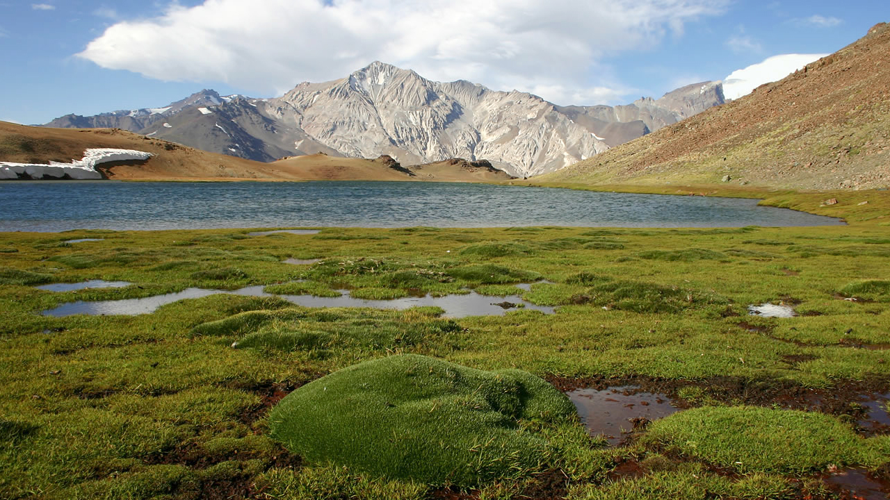 Mendoza