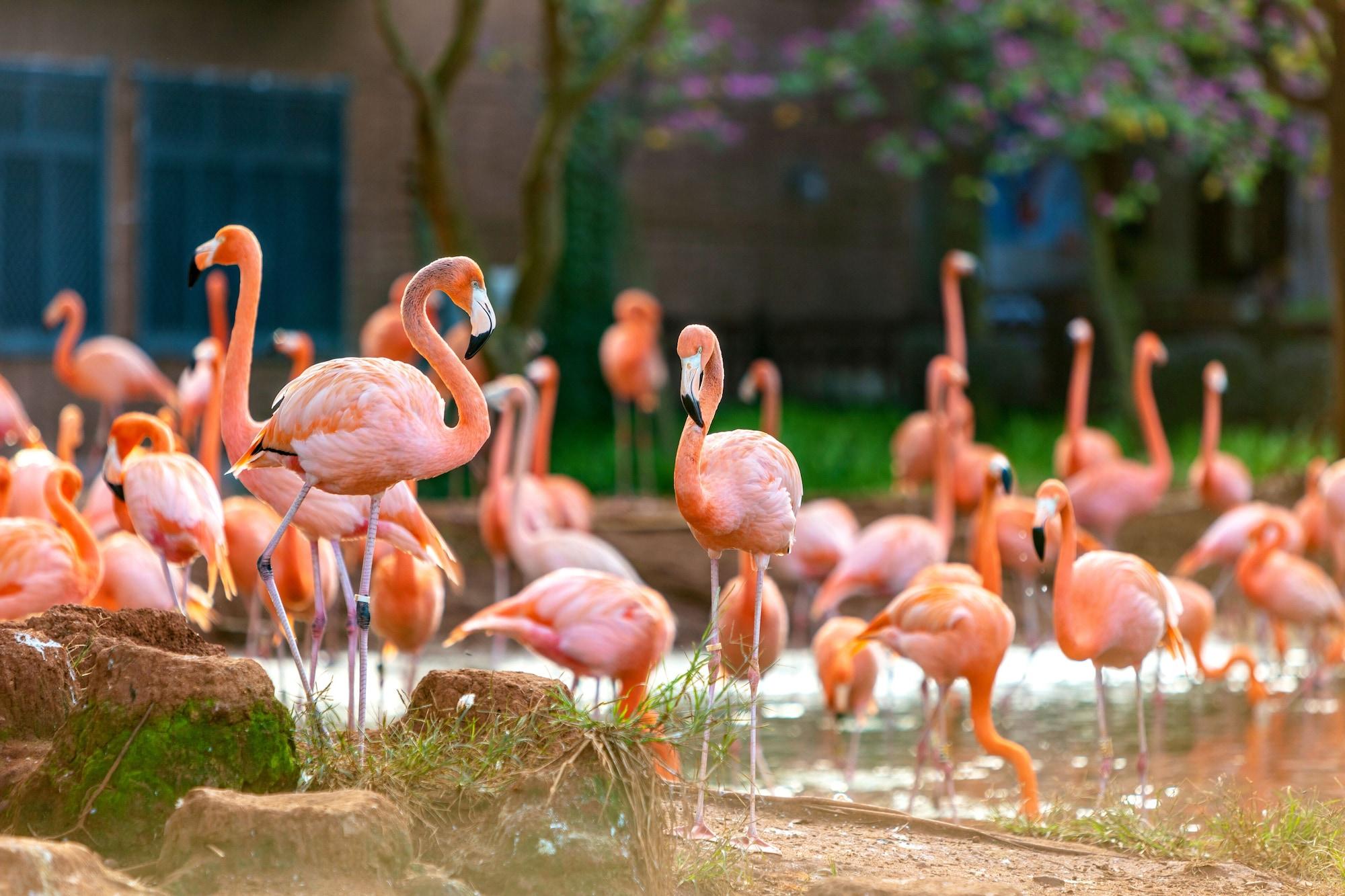 Habitación DoubleTree Resort by Hilton Hainan Chengmai
