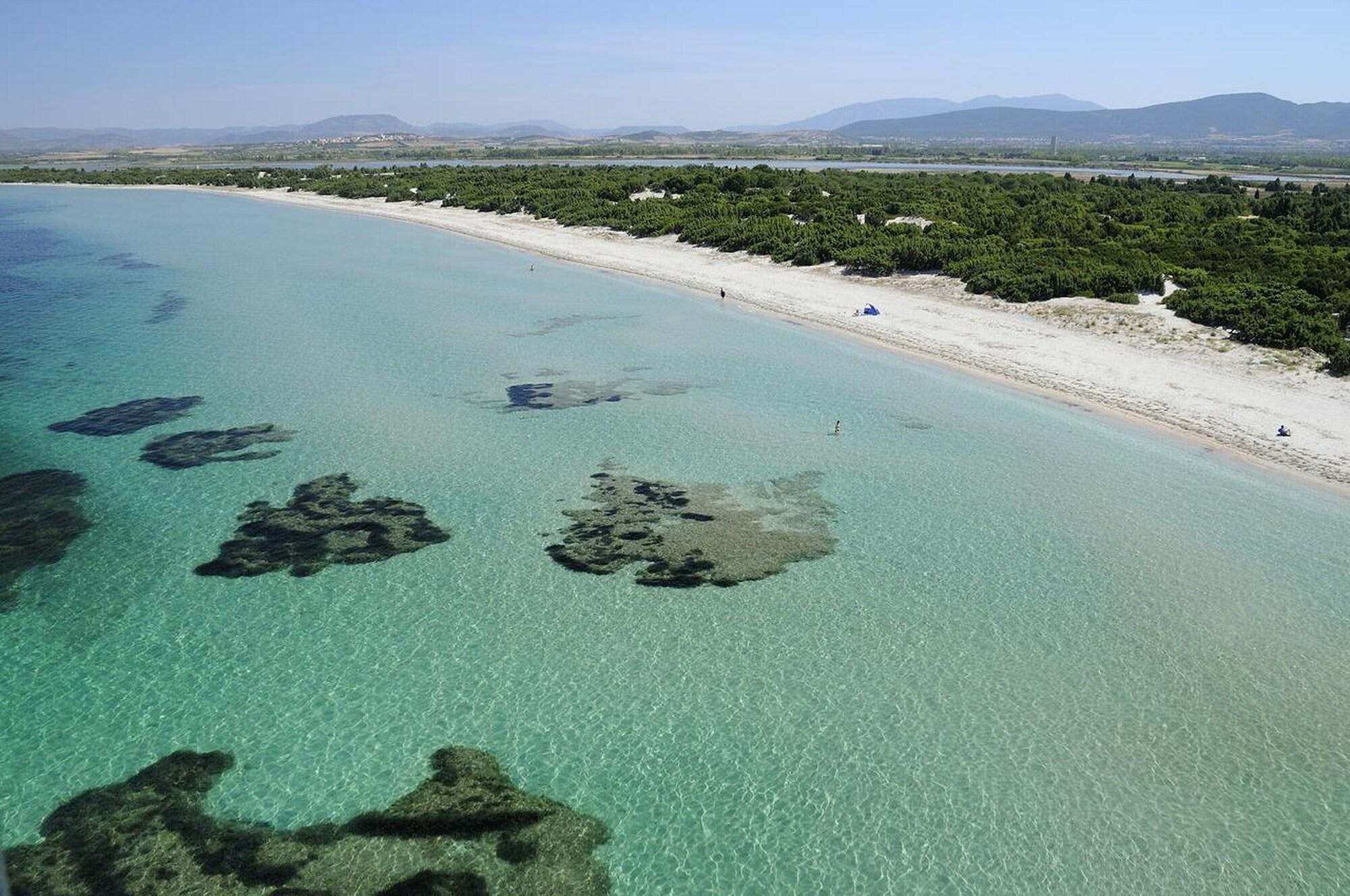 Varios Room in Guest Room - S'olivariu Village Affittacamere - Junior Suite Terrace