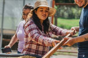 Actividad - Tour del café en la finca Britt