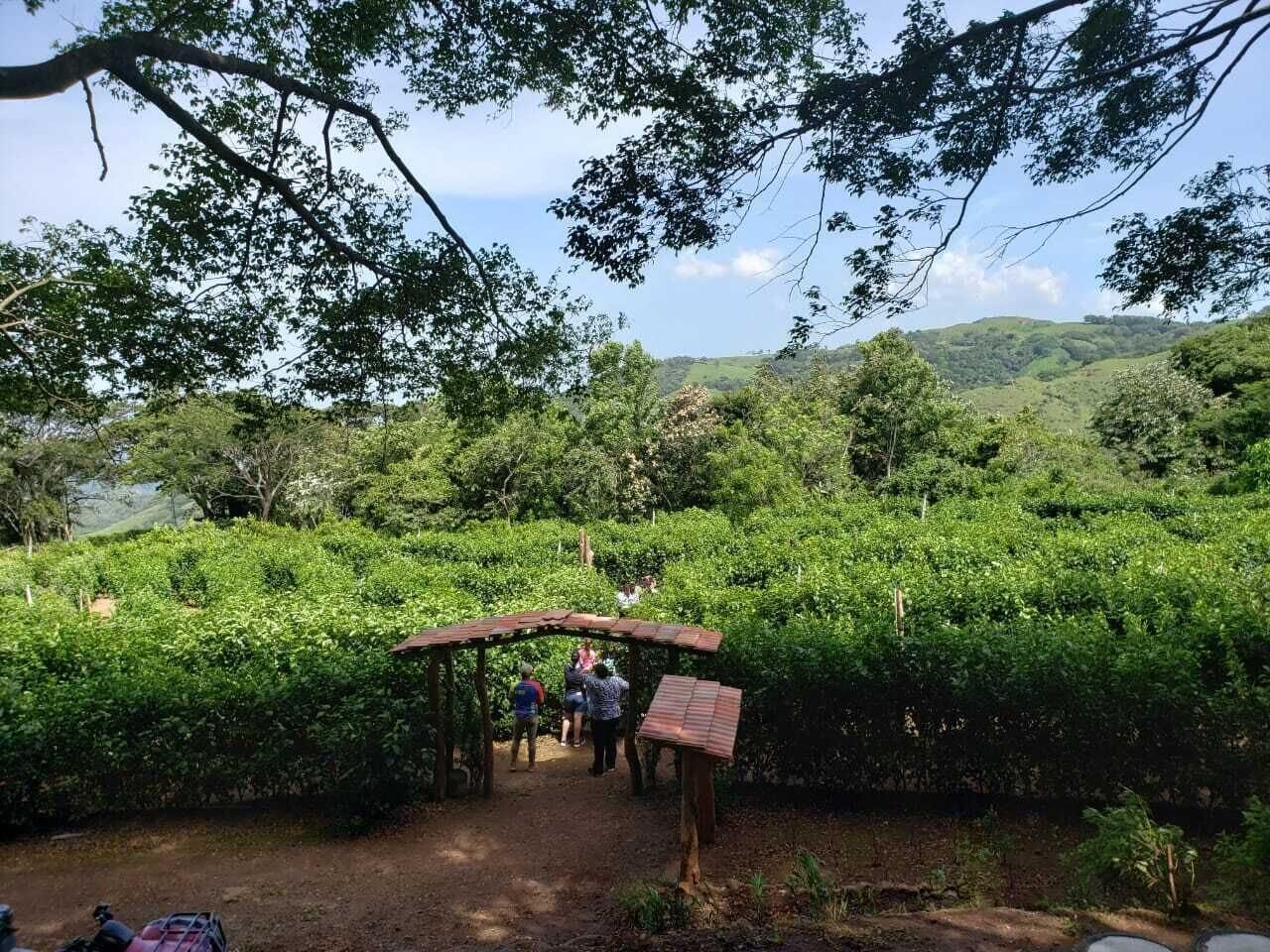 Vista Exterior Adventure Park And Hotel Vista Golfo, Puntarenas