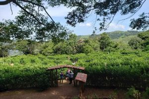 Alojamiento - Adventure Park And Hotel Vista Golfo, Puntarenas