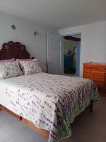 Alquiler Vacacional - PURPLE LOTUS COZUMEL fibre optics WIFI, A/C Pool. Walking distance to town.