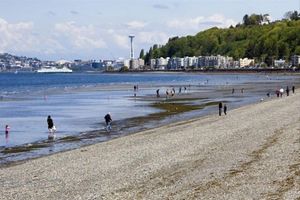 Alquiler Vacacional - Popular Alki Beach Seattle Vacation House, Walk to Restaurants
