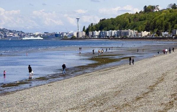 Popular Alki Beach Seattle Vacation House, Walk to Restaurants
