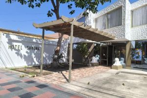 Alojamiento - Hotel Savona