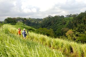 Alojamiento - Sri Ratih Cottages