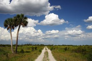 Passagem - Voos para Kissimmee