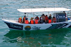 Actividad - Excursión a la isla Espíritu Santo en barco