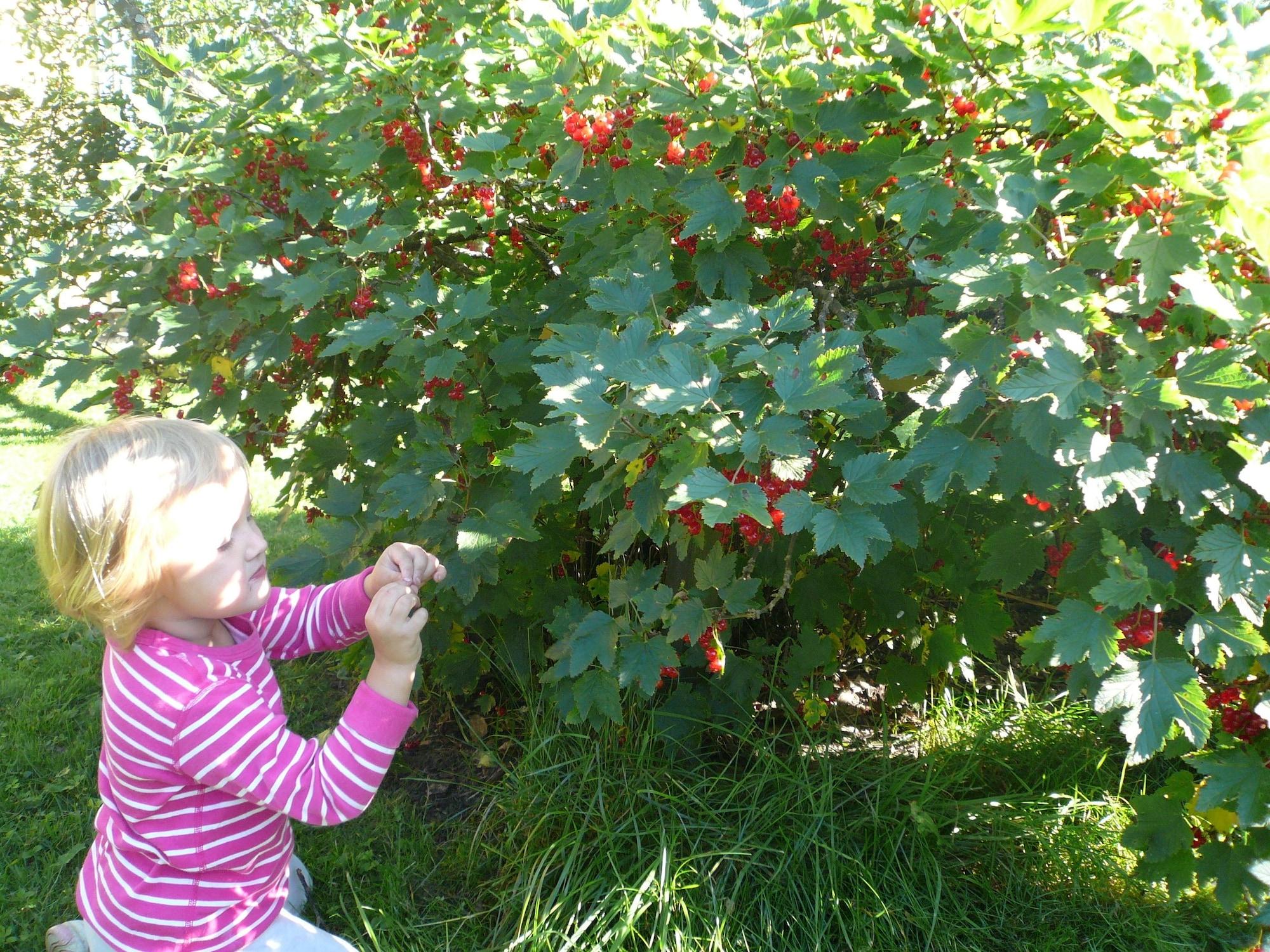 Instalaciones Recreativas Lomamokkila