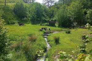 Alquiler Vacacional - Mimmo Holiday House Florence