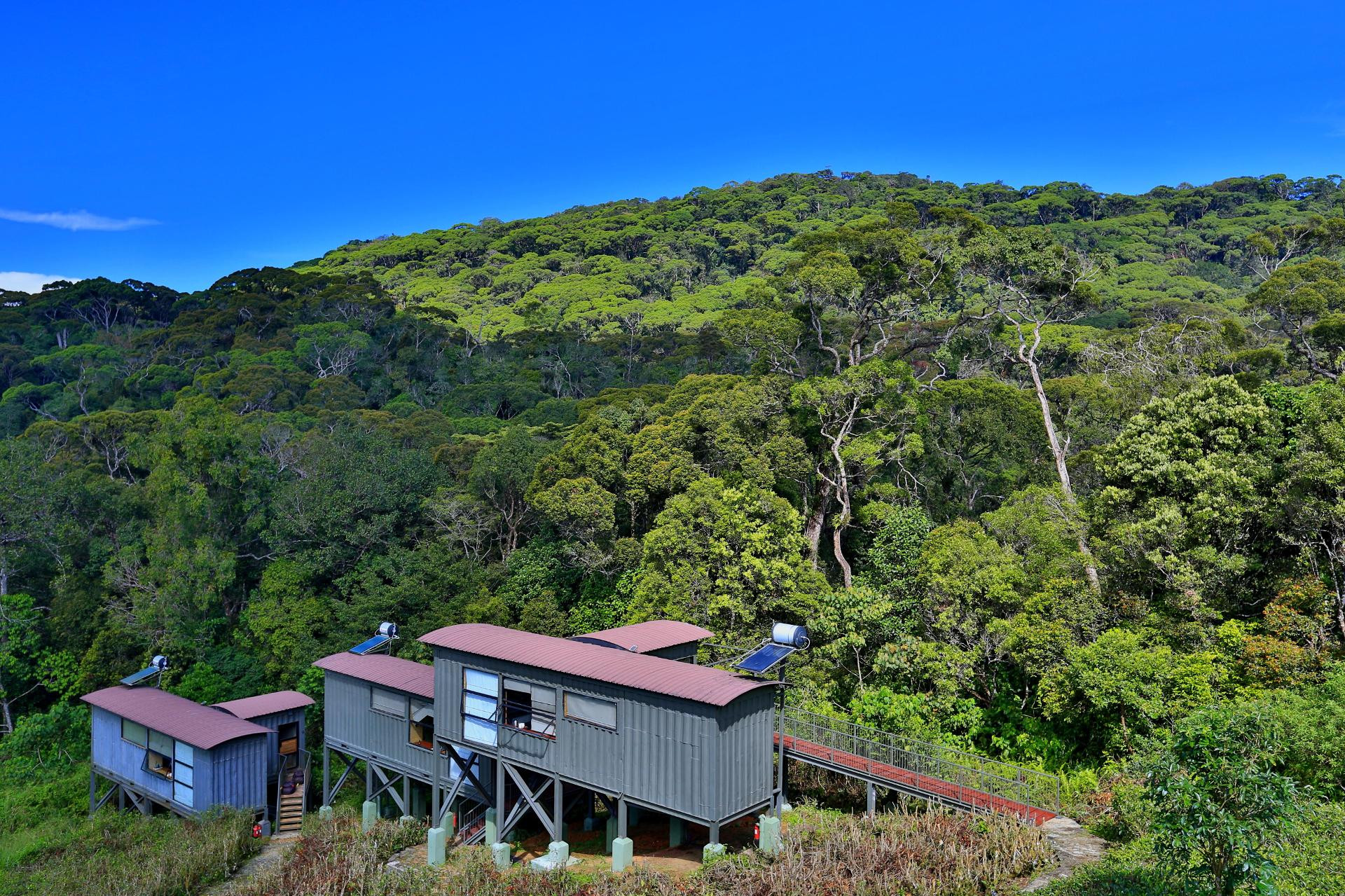 Vista Exterior The Rainforest Ecolodge – Sinharaja